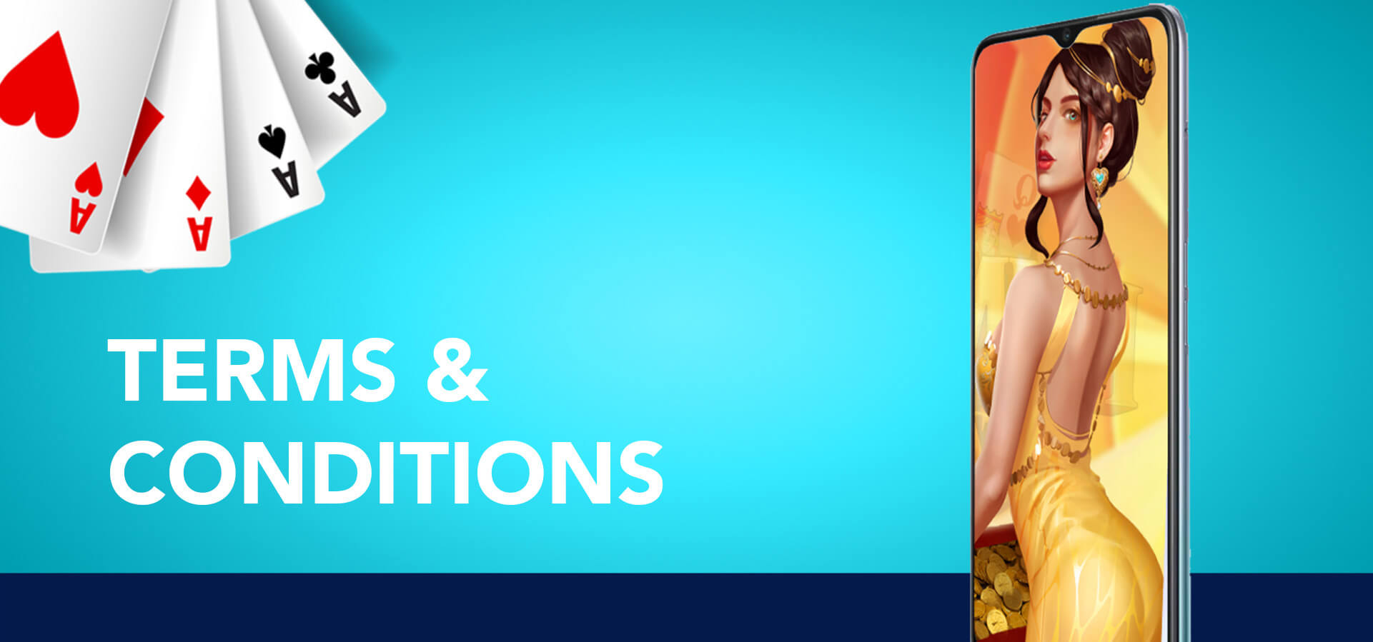 TERMS & CONDITIONS